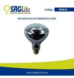 FOCO LED A19 9W 65K E26 12V - SAGLITE