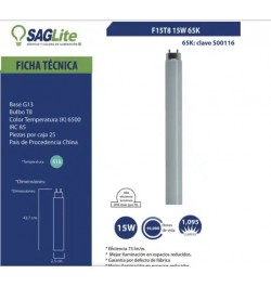 Saglite,Foco Fluorescente T8 15 W G13 6500 K 15 pulgadas, S00116, SAGF15T8/D